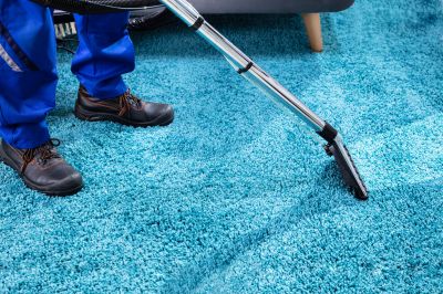 Carpet And Rug Cleaning For Homes With Pets