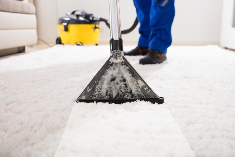 Common Carpet Stains And How Professionals Remove Them
