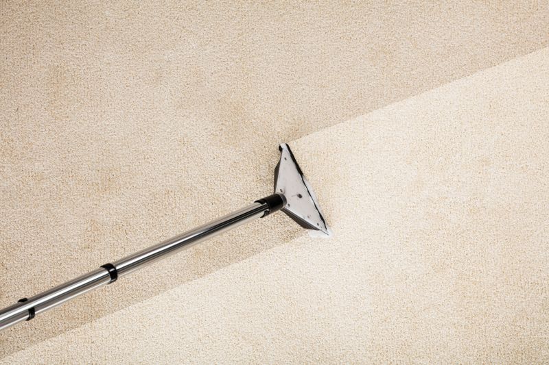 Common Carpet Stains And How Professionals Remove Them