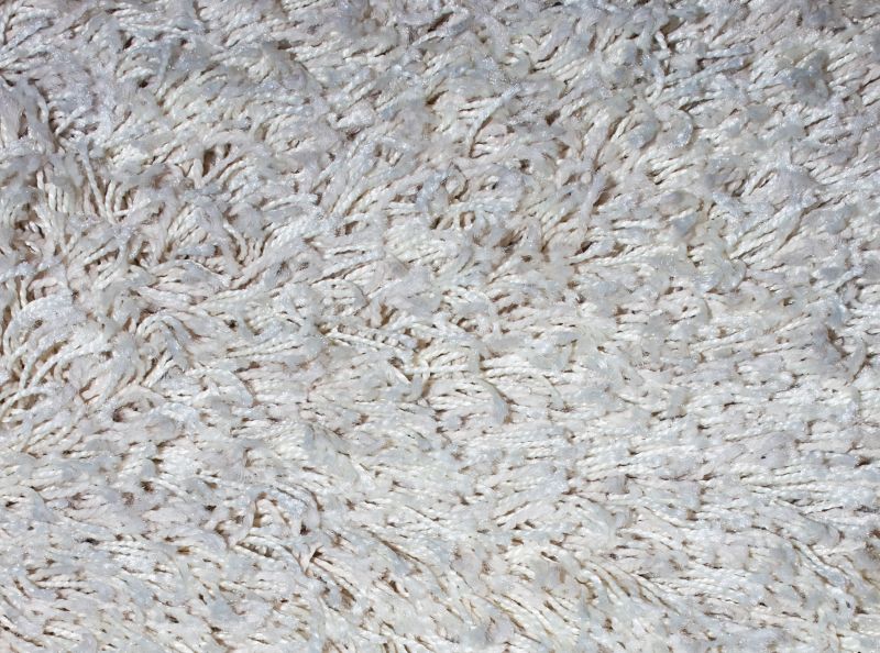 Removing Stains And Odors From Carpets And Rugs